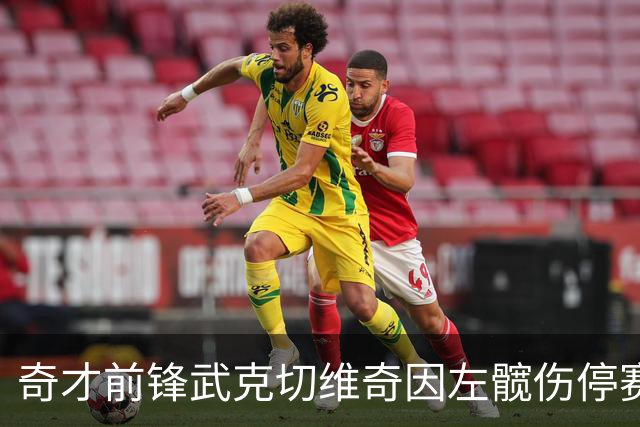 奇才前锋武克切维奇因左髋伤停赛四周，复查期待定